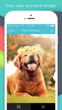 Photo Download screenshot 5