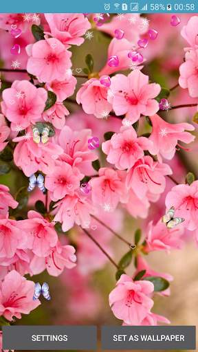 Flower Spring Live Wallpapers screenshot 1