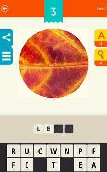 Guess the Pic! screenshot 9