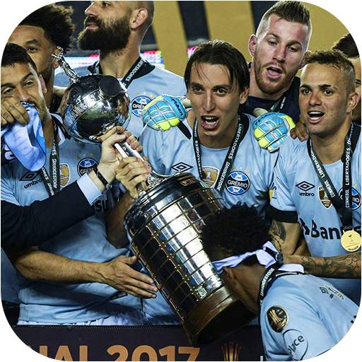 ⚽️🏆 SOUTH AMERICA REAL FOOTBALL 1.0.4
