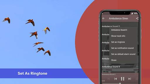 Parrot Sounds screenshot 6