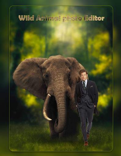 Wild Animal Photo Maker : Animals Photo Editor screenshot 3