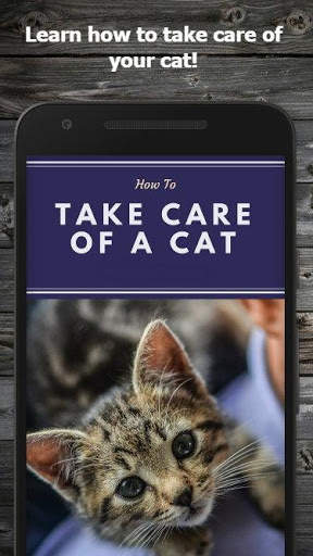 How to Take Care of a Cat Guide screenshot 1
