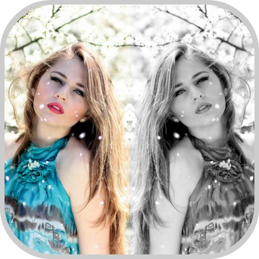 Mirror Photo: Effects Art Pro 7.2.5