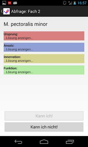 Muskel Lernkartei lite screenshot 2