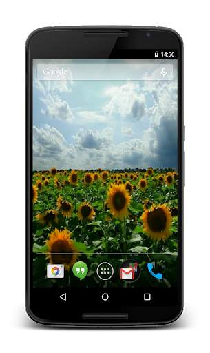 Sunflowers 3D Live Wallpaper screenshot 3