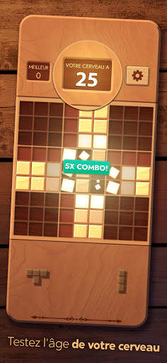 Woodoku - Puzzles de bloc screenshot 3