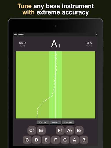Bass Tuner BT1 screenshot 8