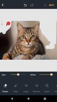 Remove Background screenshot 2