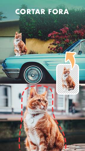 PicPlus®️ - Editor de Fotos screenshot 8