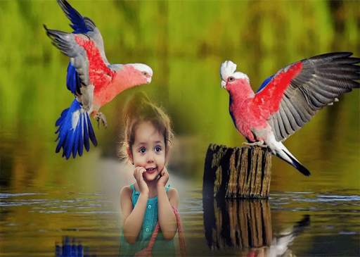 Birds Photo Frames स्क्रीनशॉट 1