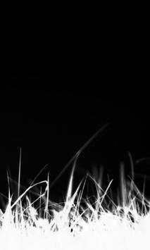 Wallpapers in Black screenshot 5