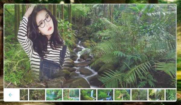 Forest Photo frame screenshot 4