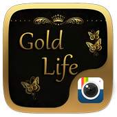 (FREE)Z CAMERA GOLD LIFE THEME 1.0