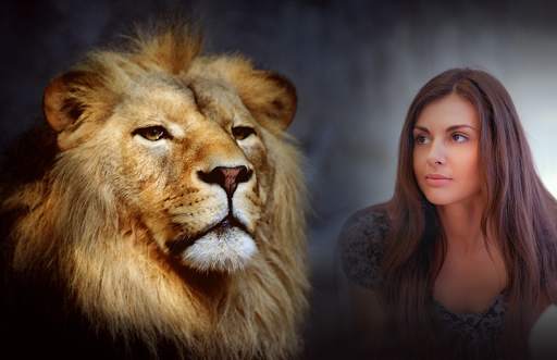 Lion Photo Frames screenshot 5