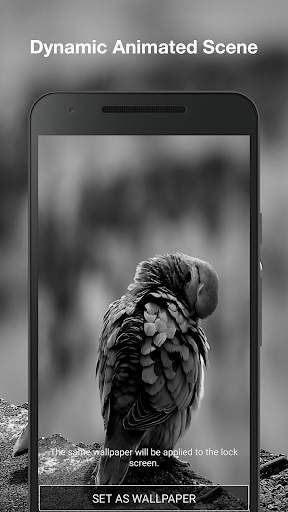 Real Bird Live Wallpaper PRO screenshot 2