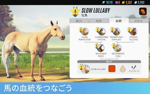 ライバル・スターズ ホース・レーシング screenshot 19
