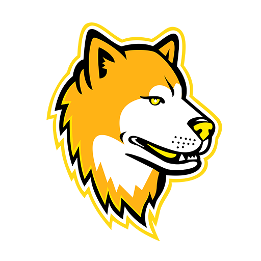 Akita VPN: Fast, Secure icon