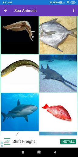 Animals Learning: Animals, Birds, Insects Images screenshot 4