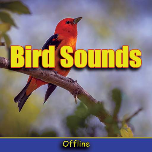 Oiseaux Sons 2020 sans internet screenshot 1