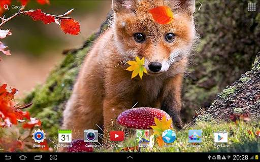 Autumn Live Wallpaper screenshot 9