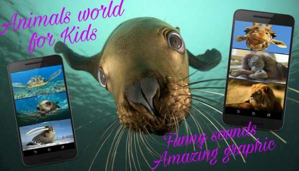 Animals world screenshot 4
