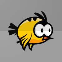Droopy bird - The lost bird