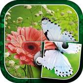 Butterfly Jigsaw Puzzles 5.4
