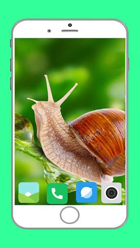 Snail Wallpaper Full HD screenshot 5