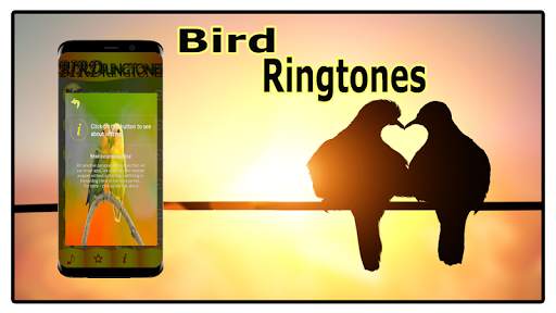 Bird Sounds Ringtones Free screenshot 3
