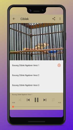 Kicau Burung Terlengkap screenshot 8