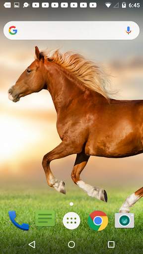Horse Live Wallpaper screenshot 1