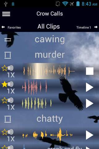 Crow Calls screenshot 1