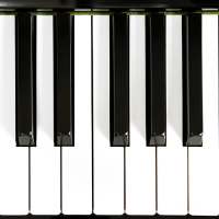 Pocket Piano - Your Perfect Piano keyboards on 9Apps