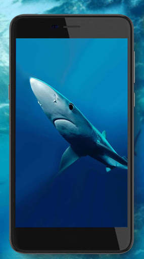 Shark Terrible Live Wallpaper screenshot 5