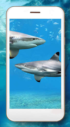 Shark Terrible Live Wallpaper screenshot 2