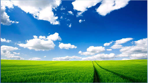 BF Nature Images screenshot 6