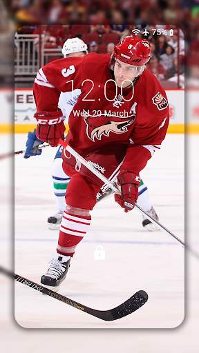 Hockey Wallpaper HD : backgrounds & themes screenshot 4