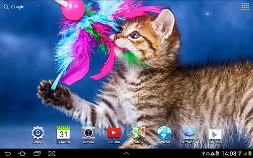 Cat Live Wallpaper screenshot 14