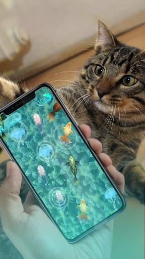 A game for the cat. Fishes screenshot 3