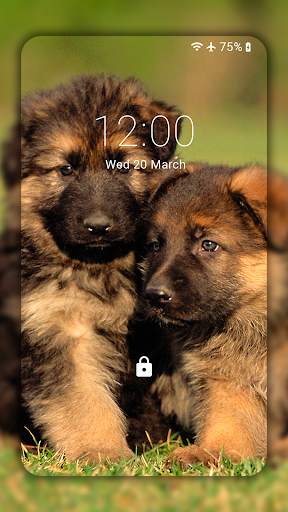 German Shepherd Wallpaper HD screenshot 3