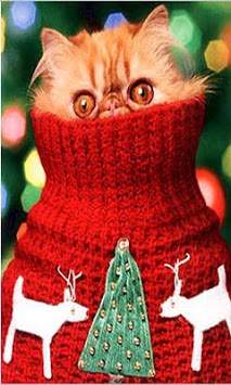 Christmas Cats wallpaper screenshot 3