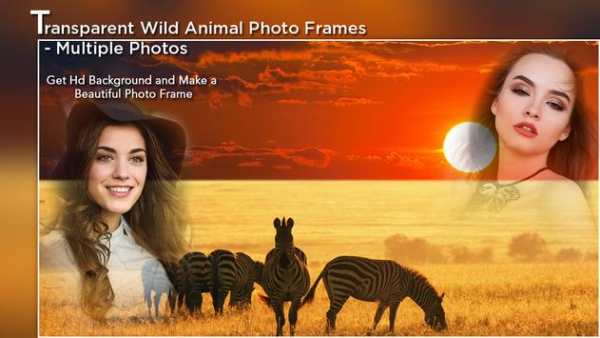 Transparent Wild Animal Photo Frame - Multi Photos screenshot 4