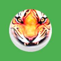 BaghChal - Tigers and Goats on 9Apps