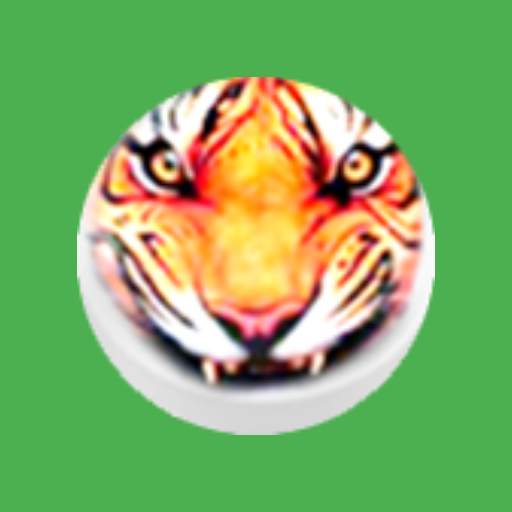BaghChal - Tigers and Goats 23.03.12