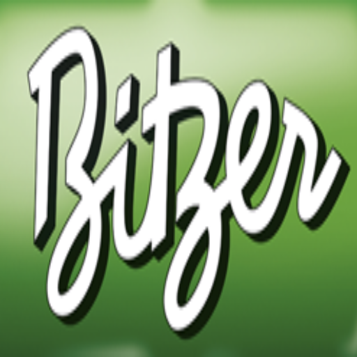 Bitzer México أيقونة