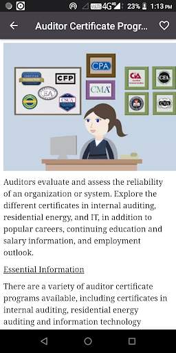 Auditing screenshot 4