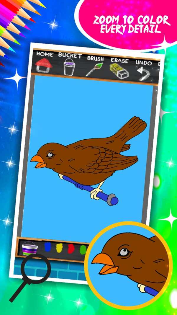 Birds Coloring Book screenshot 4