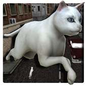 Save your Cat 3D