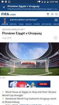 World Cup 2018 screenshot 3